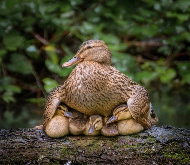 Подборка интересных и веселых картинок