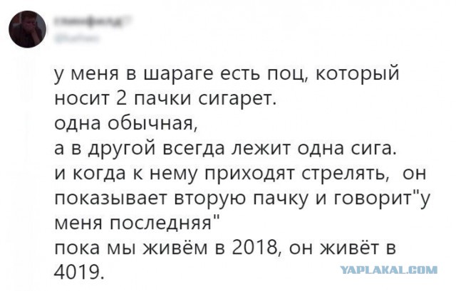 Тупик эволюции