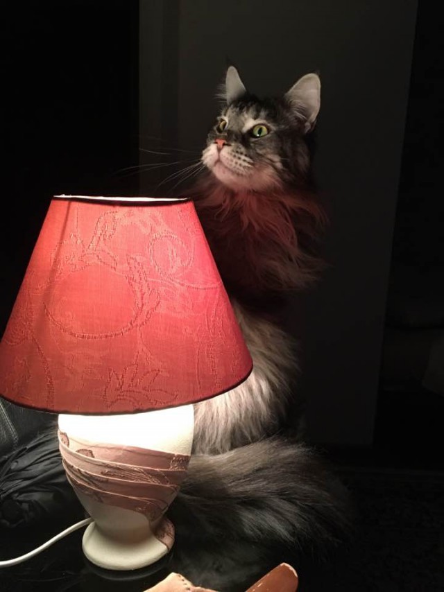 Итоги проверки пользователей