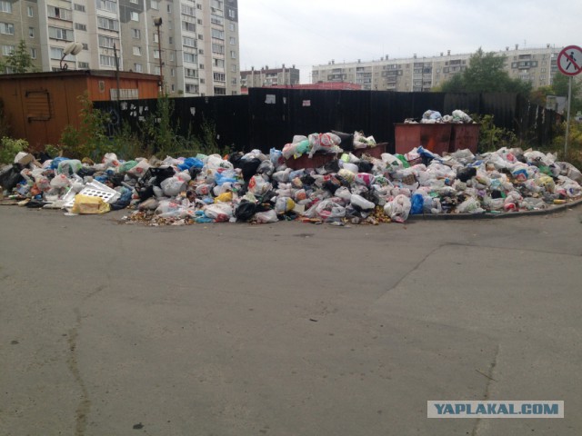 Челябинск завален мусором