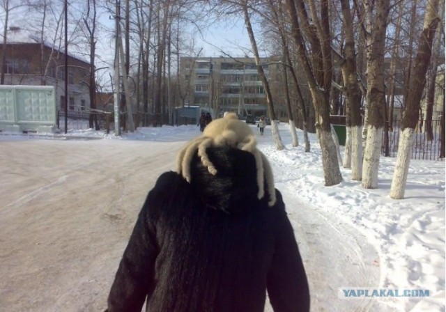 Скоро зима..