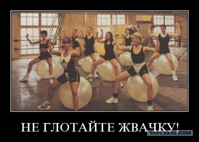 Не давайте собакам жвачку !