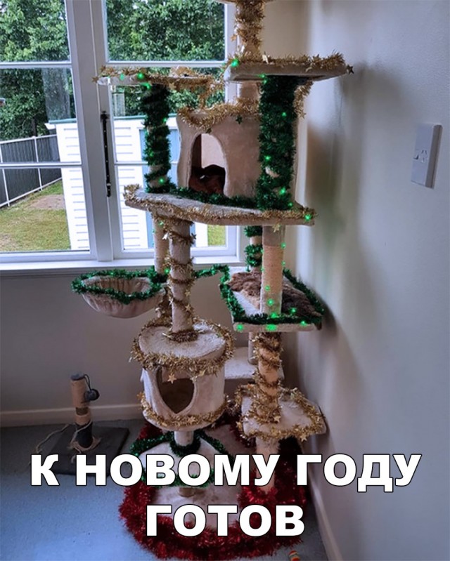 Прикольные картинки абавсём