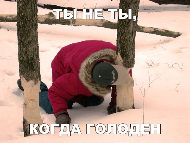 Нестандартный юмор
