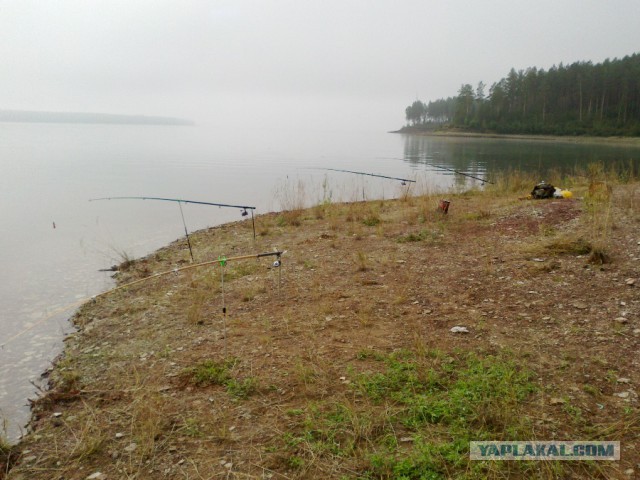 Соскучился по рыбалке