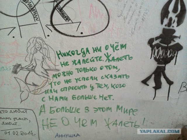 Асфальт, стены, заборы... Так пить или жить?