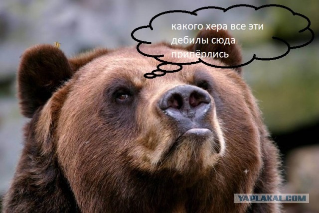 Я сама медсестра, дочь вирусолога