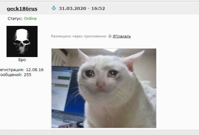 Песков заявил об отсутствии у Путина коронавируса после беседы с Проценко