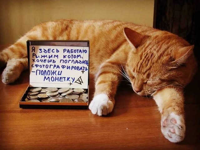 Чуток картинок 05.05.20