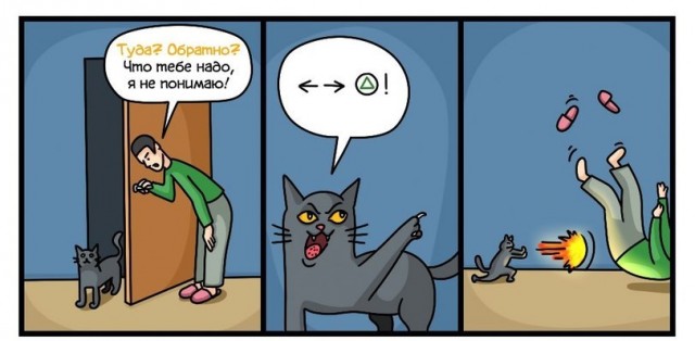 Дурацкие картинки