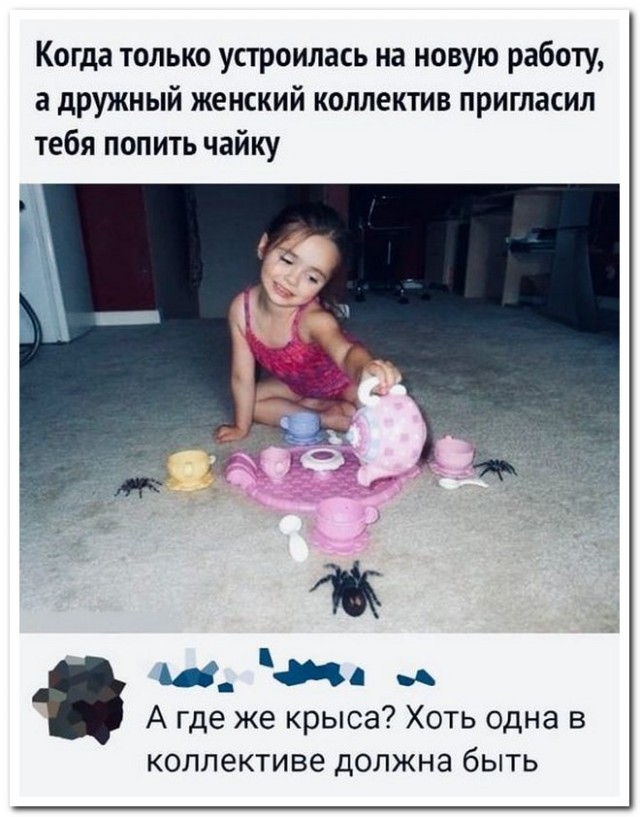Забавные комментарии из социальных сетей (14.12.20)