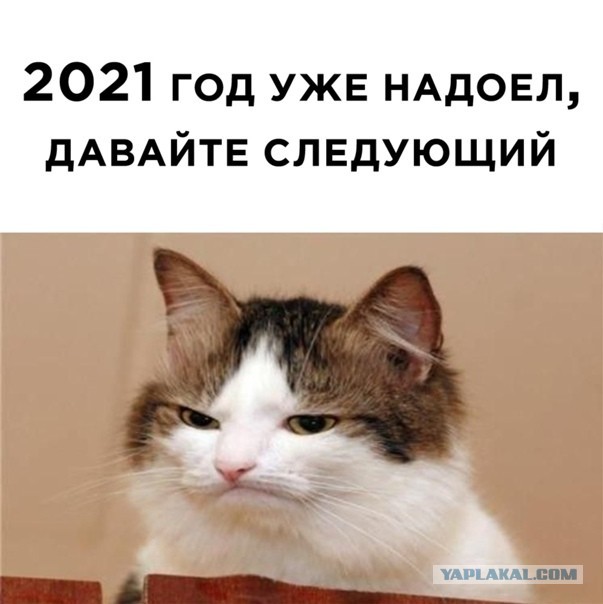 2021 - терзают смутные сомненья...