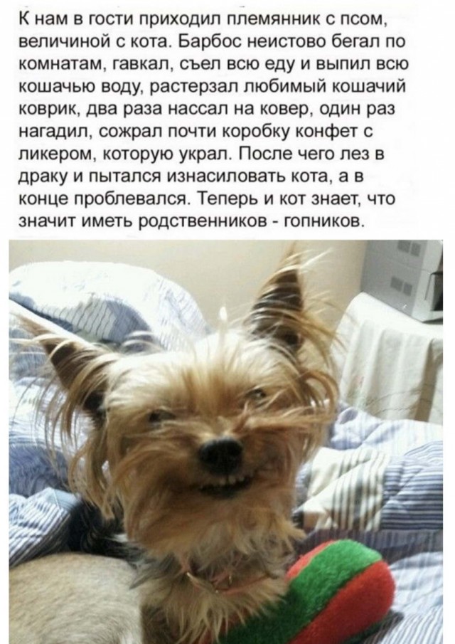 Картинки с надписями и всякие жизненные фразы 7.01.2021