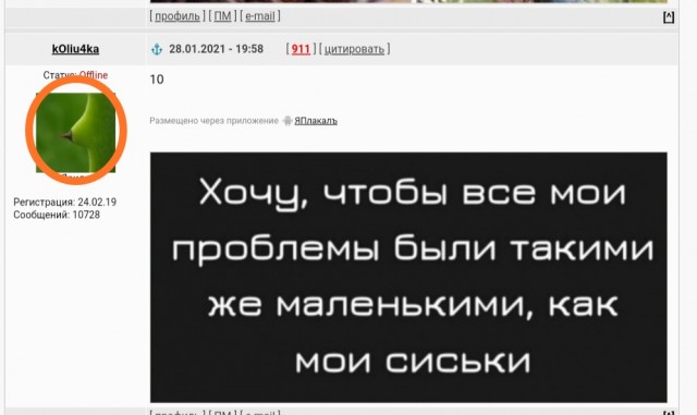 Бредзона 28.01.2021