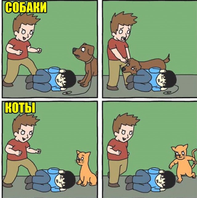 Кретинизмы из сети 05.02.21