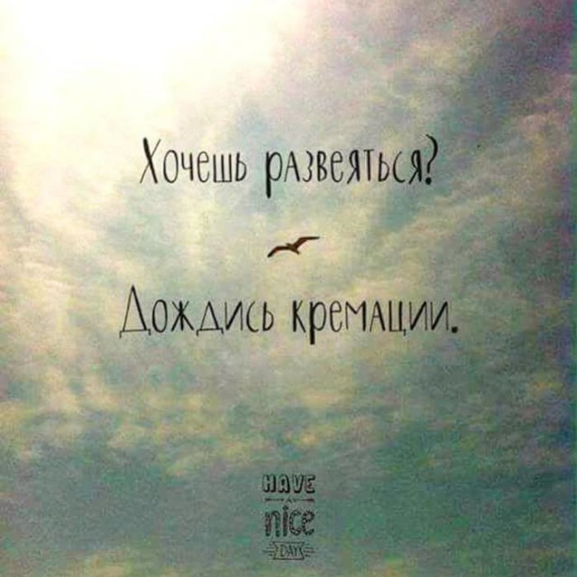 Весенняя сходка деградантов
