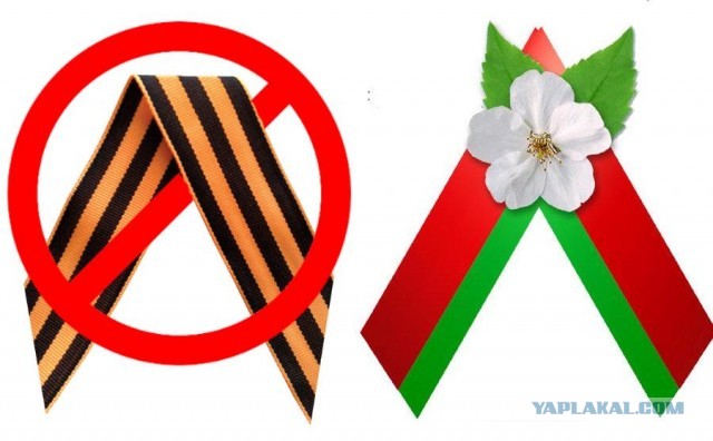 Хотели ленту? Нате!