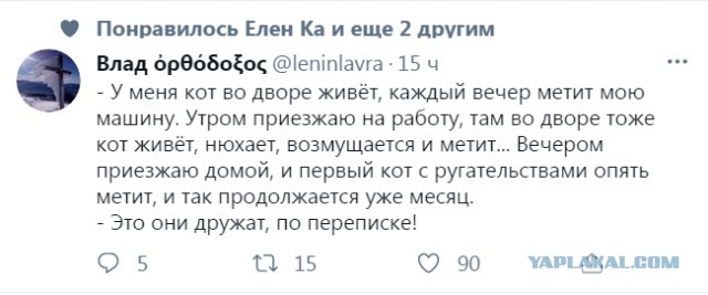 Весёлый полтишок 5.07