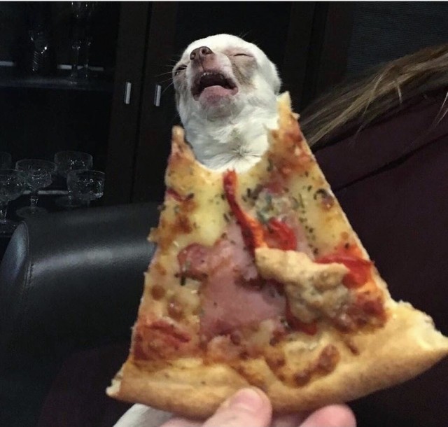 Так себе картинки 13.08.21