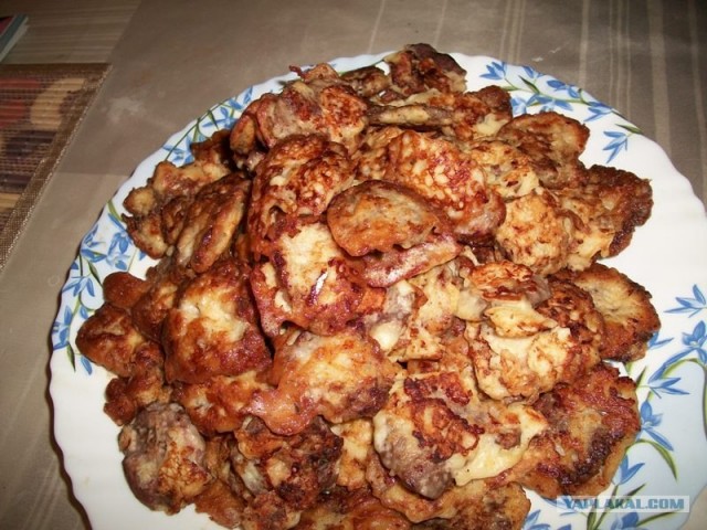 Куриная кардиология