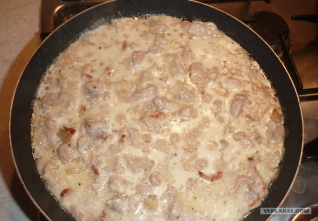 Пятничные посиделки на теплотрассе ©