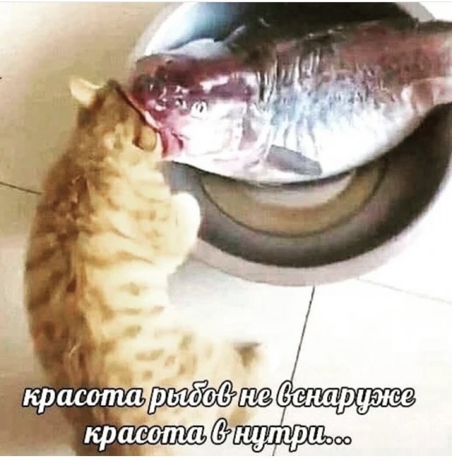 Картинки и мемы для настроения 003