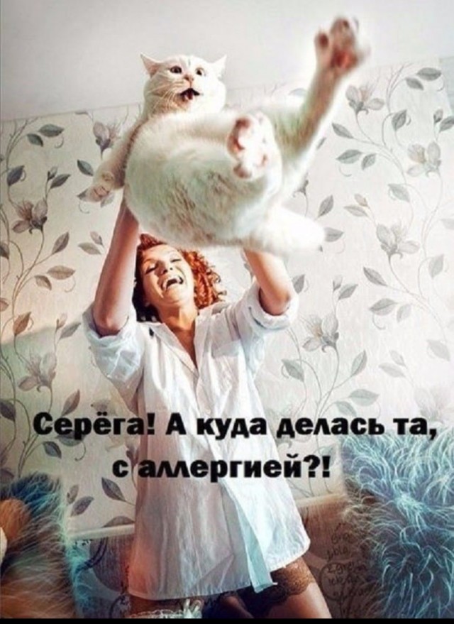 Что делать, если муж больше любит кошку?