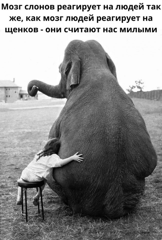 Так себе картинки 23.03.22