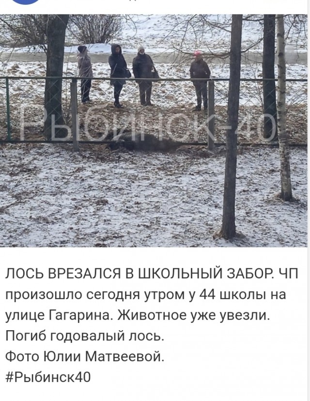 Исповедь рогоносца