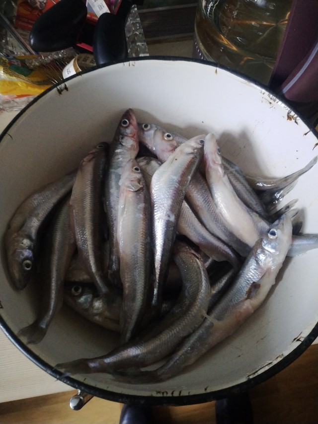 Я буею с этих цен