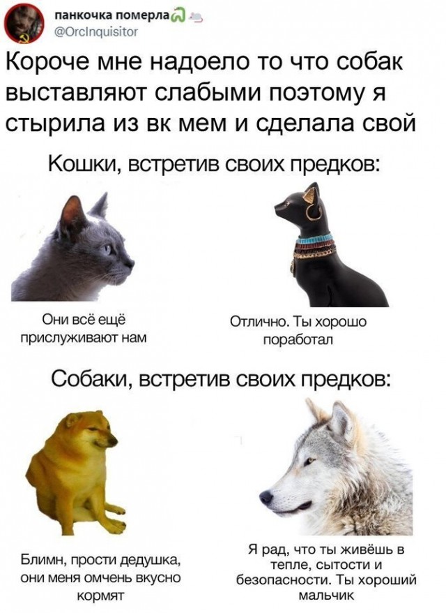 40 пятничных картинок разных 27.05.2022