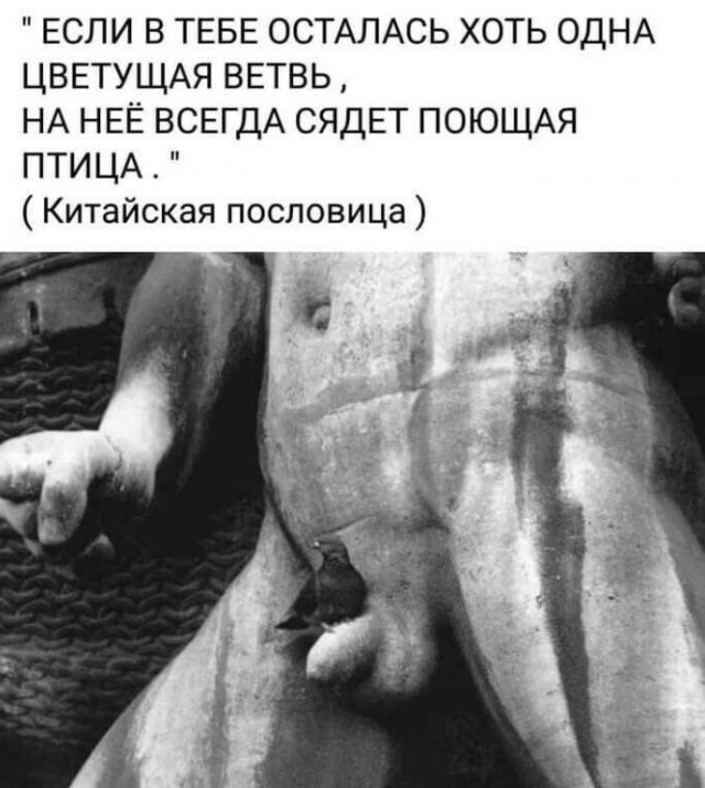 Юмор в картинках и без