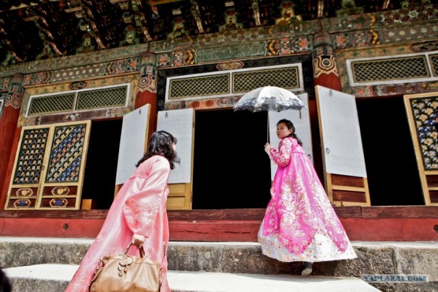 Северная Корея "в цвете"