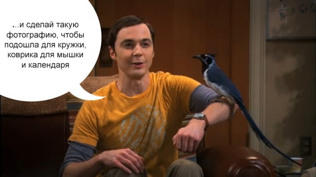 Очень забавная птаха