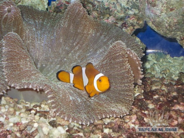 Велопутешествие по Крыму