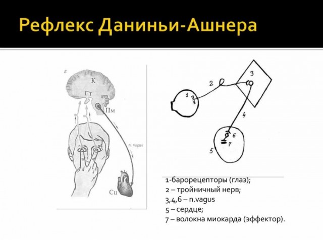 Пандемия съехавших крыш - разновидности болезни. Россия и мир. Часть 41.