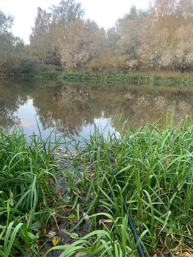 Война, мост, яо, а у меня рыбалка. И к **ям все