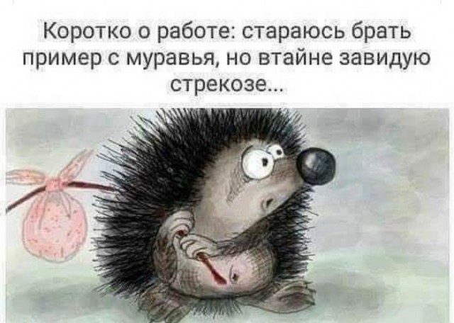 Немного картинок для настроения - 117