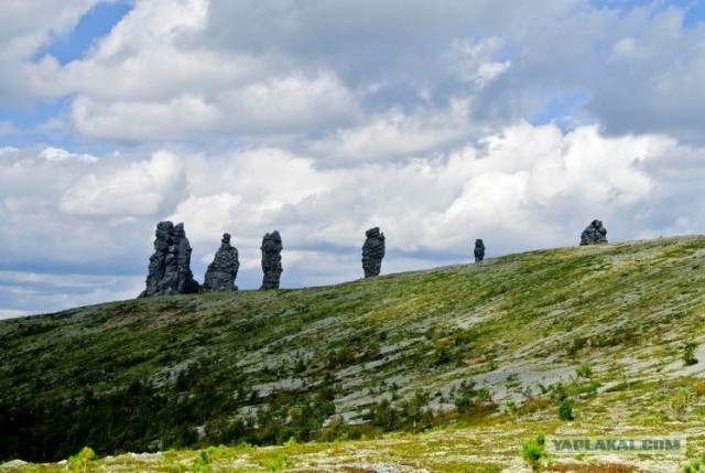 Мои черничные две недели.