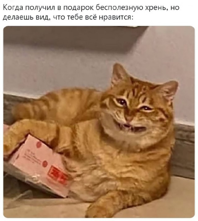 Немного картинок для настроения - 135