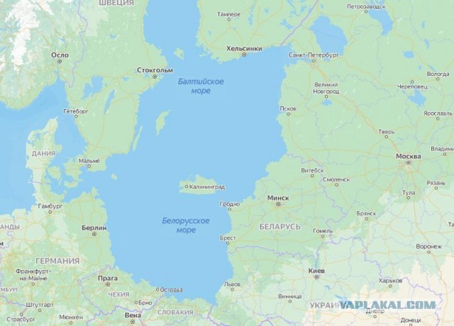 Поговорим о белорусских креветках