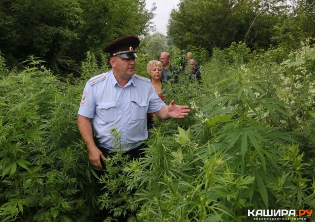 Прикольные и просто красивые картинки 31.01.2023