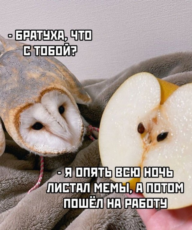 Немного картинок для настроения - 135