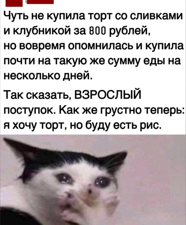 Одинокая женщина желает познакомиться. Часть 2. Свидания.