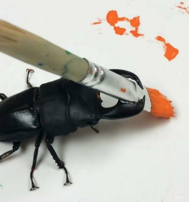 Подборка интересных и прикольных фото из Сети 01.04.23