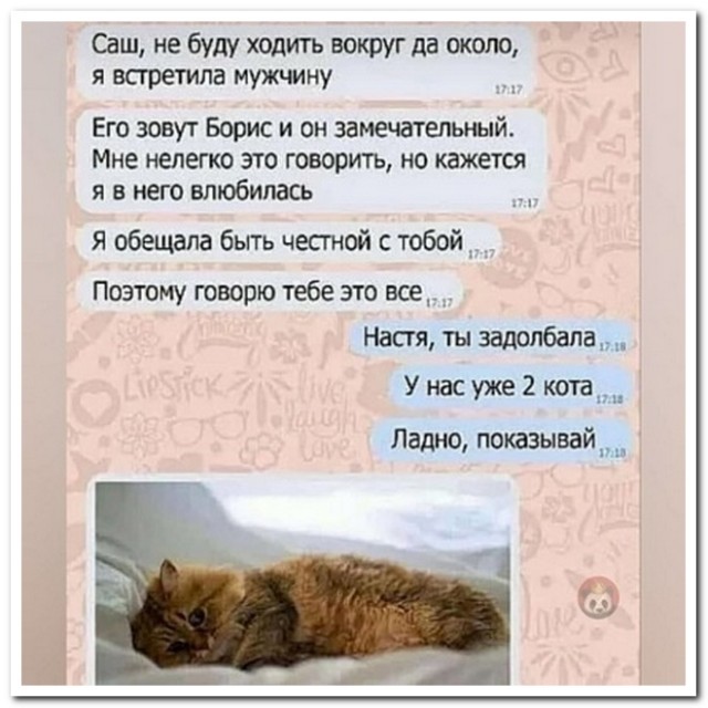 Забавные комментарии из социальных сетей (26.06.23)