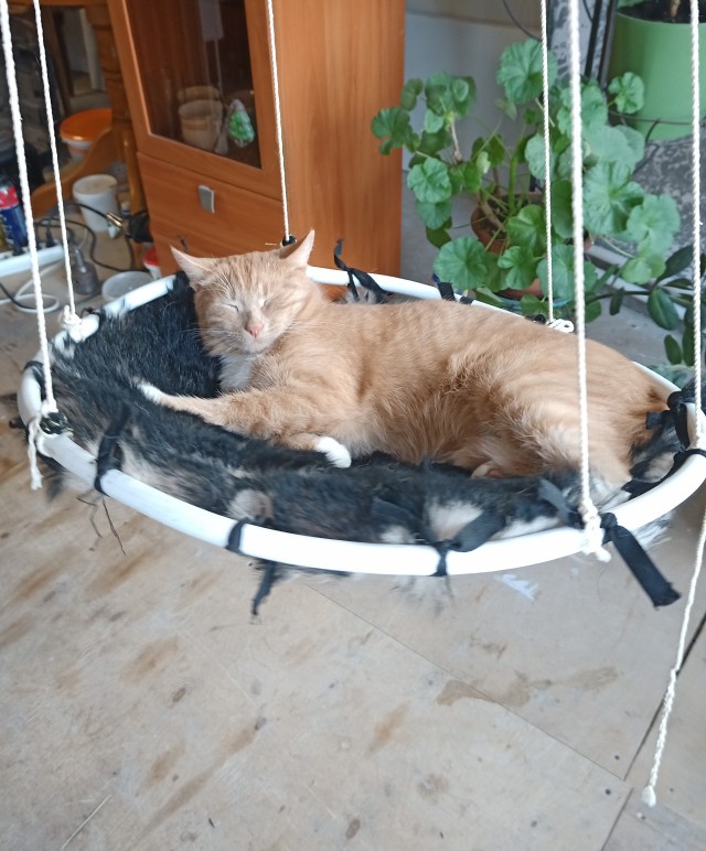 Вот