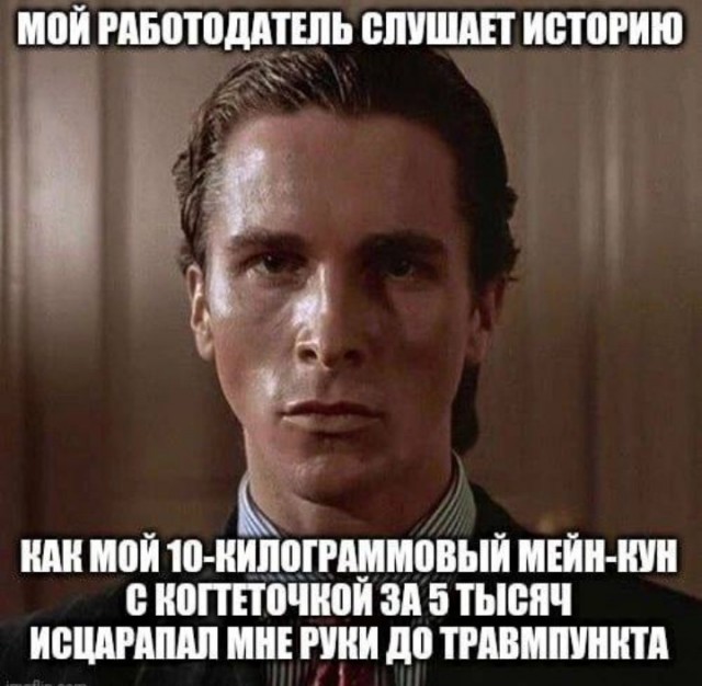 Всего понемногу. От 12.08