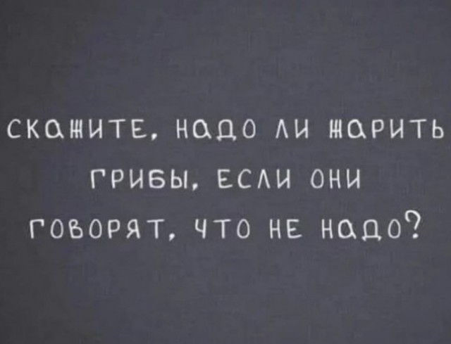 Вот зачем столько грибов?