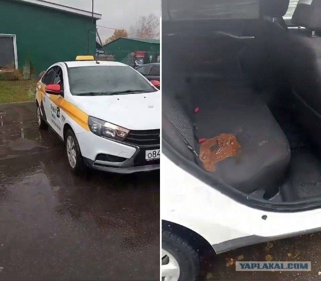 В Петербурге таксист сломал ногу пассажиру, потому что не мог дать ему сдачу c 5000 купюры